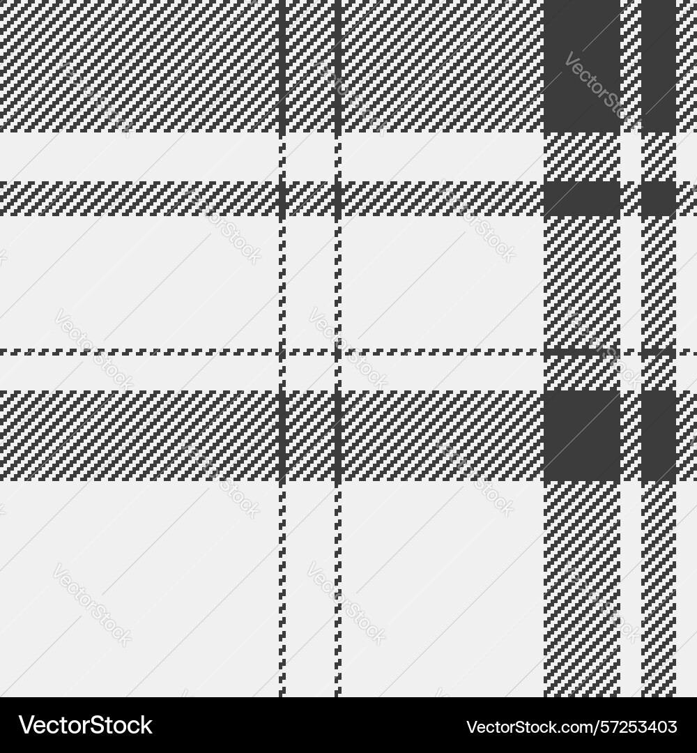 Elegant monochrome plaid pattern subtle texture Elegant monochrome plaid pattern subtle texture Vector Image