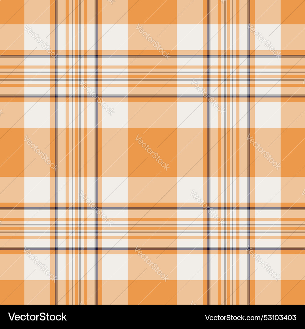 Texture check of background textile pattern Texture check of background textile pattern vector image