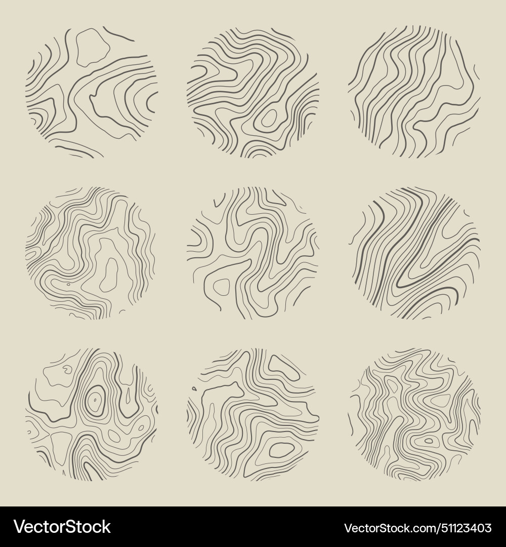Topographic map with contour lines geographic Vector Image