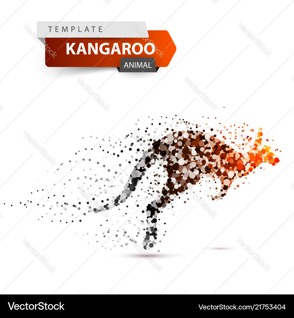 Kangaroo Dose Splash Vektorbild