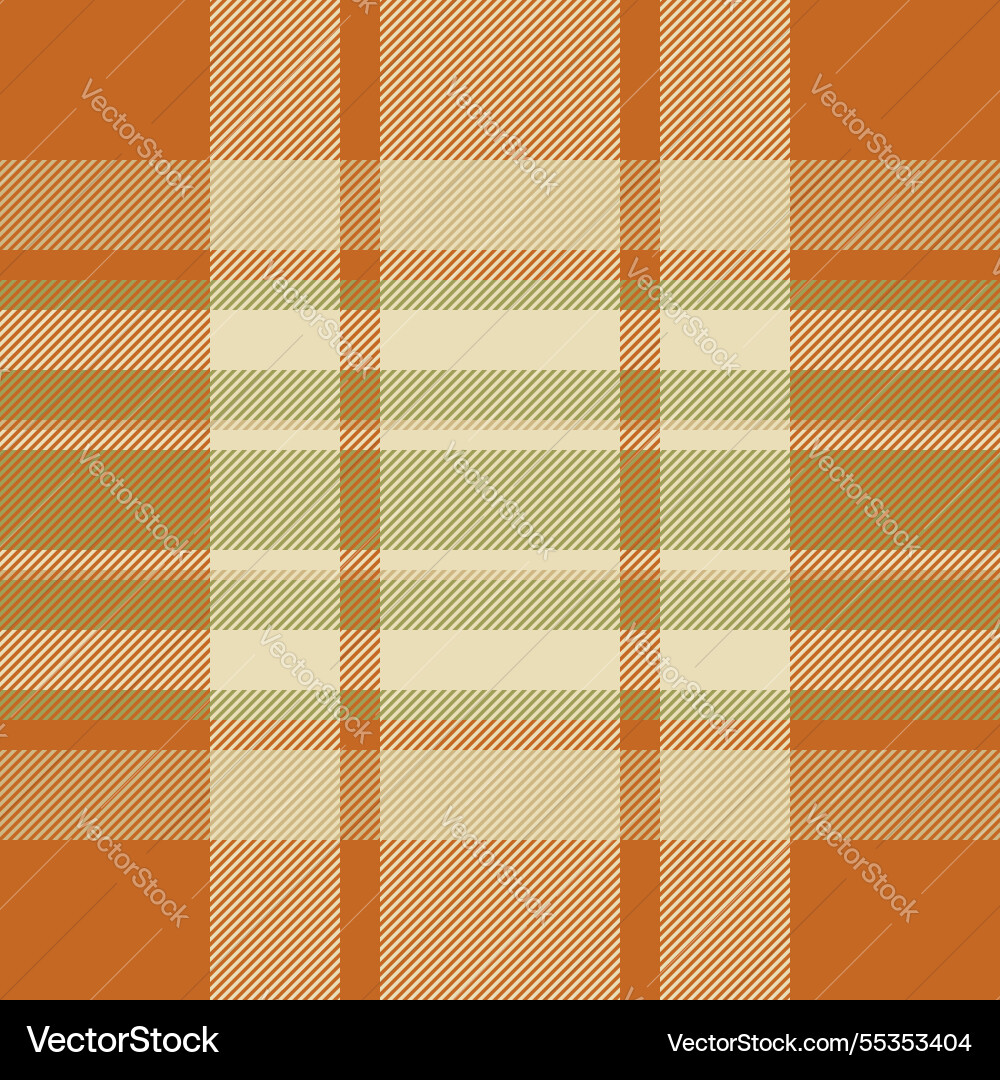 Lumberjack seamless pattern textile up check Vector Image