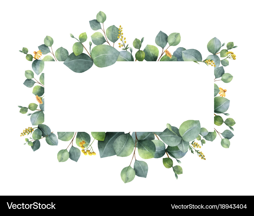 Watercolor Eucalyptus Wreath Vector Image