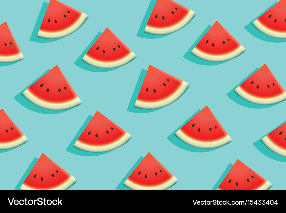 Watermelon Slice Pattern vector image