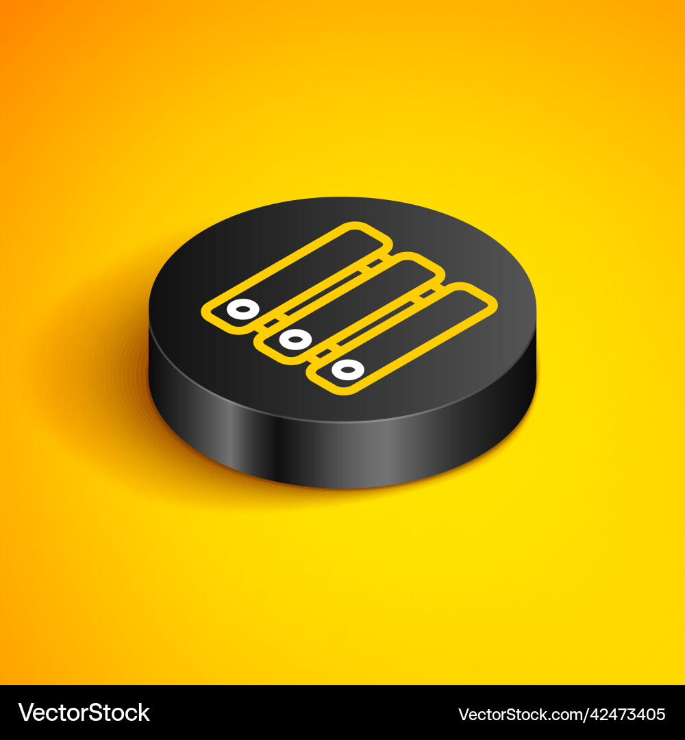 Isometric line server data web hosting icon Isometric line server data web hosting icon vector image