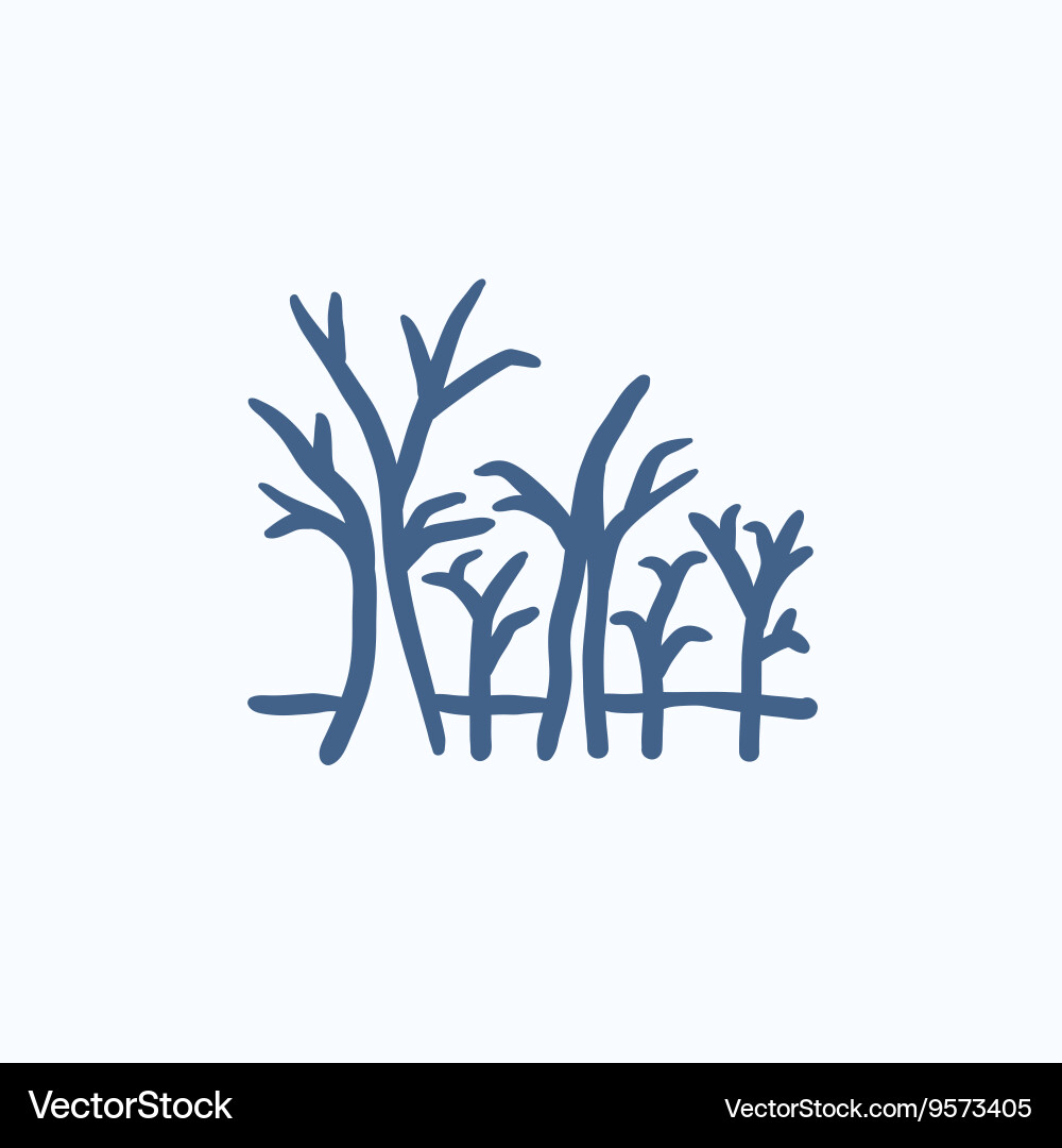 Tree with bare branches sketch icon vector image