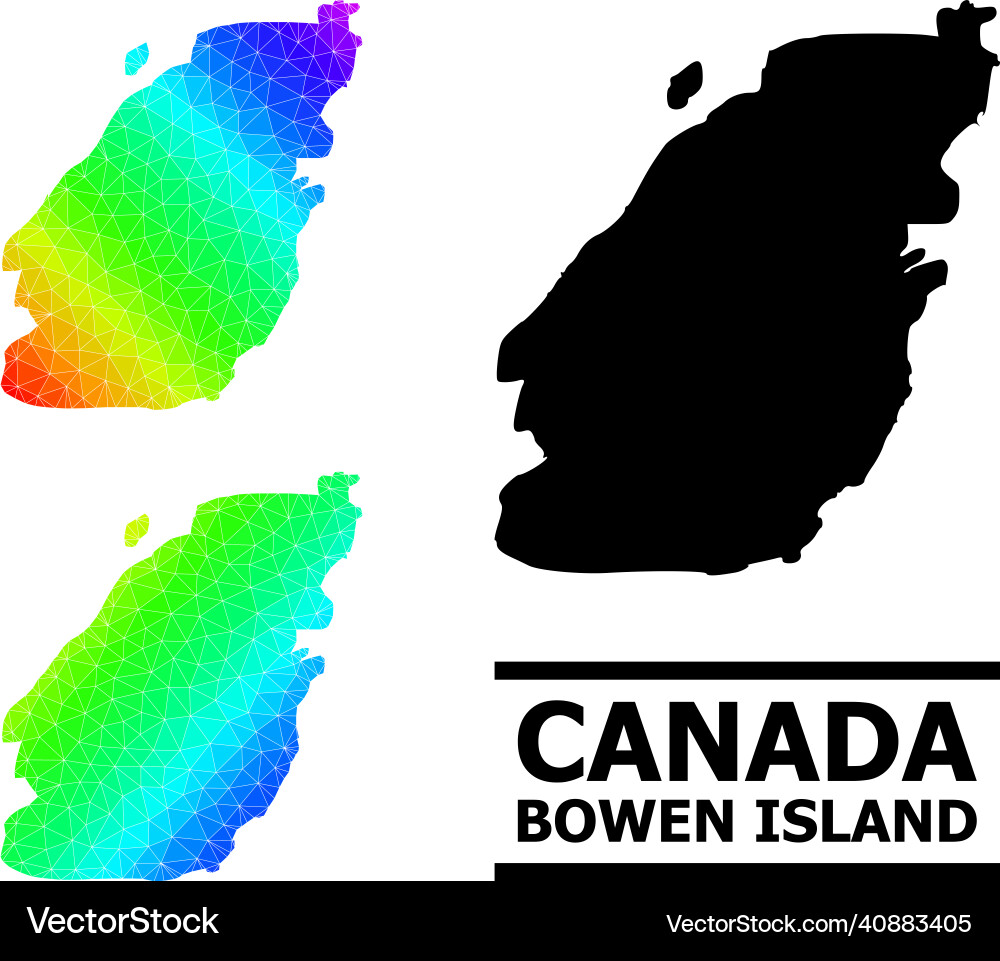 Triangle filled spectrum map of bowen island Triangle filled spectrum map of bowen island vector image