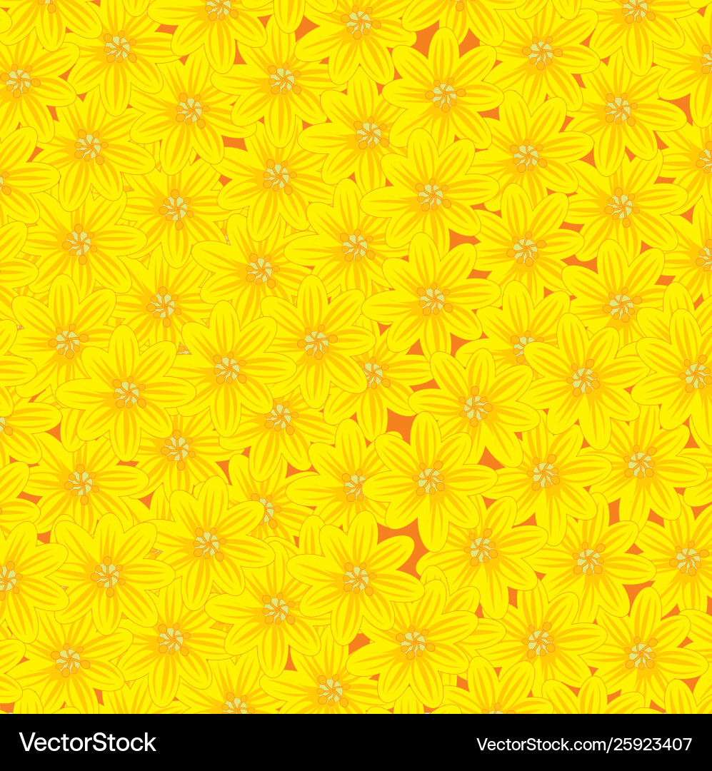 Bright and colorful background from ensemble Vector Image