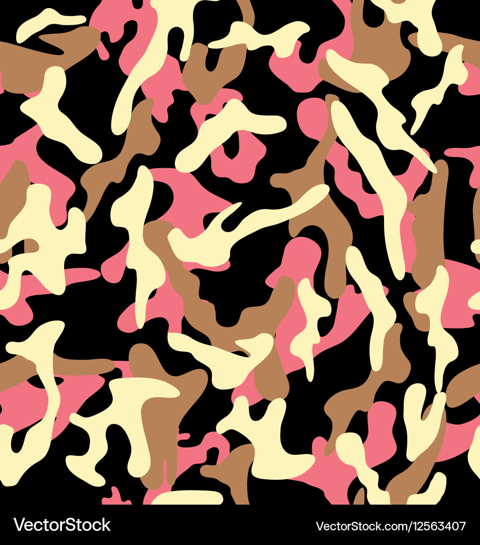 Modern Camouflage Pattern vector image