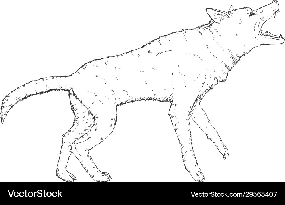 Sketch barking german shepherd dog Sketch barking german shepherd dog vector image