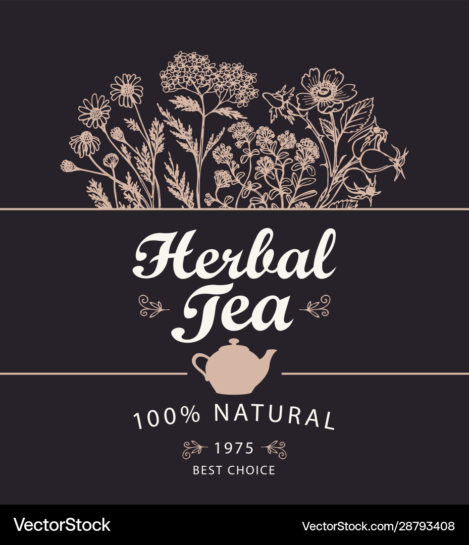 Banner or label for herbal tea with herbs vector image