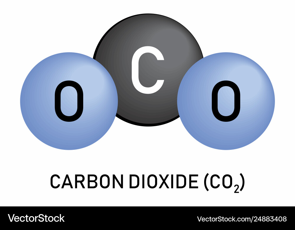 Carbon dioxide molecular formula vector image