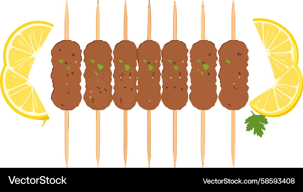 Symmetrical display of kofta kebabs on skewers Vector Image