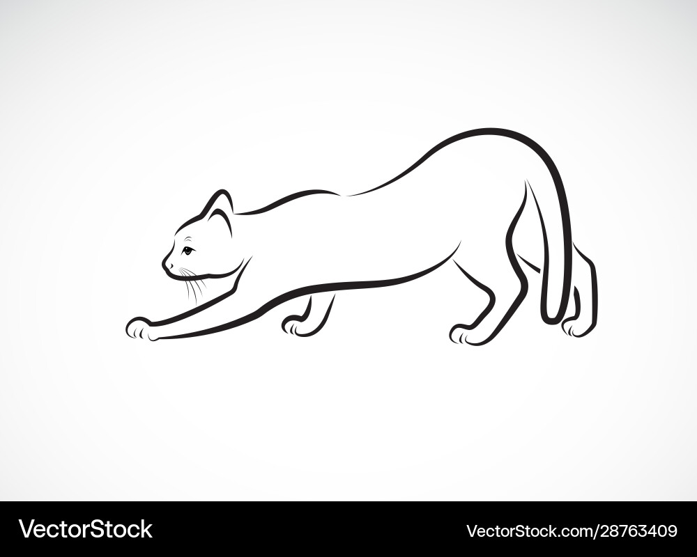 A cat design on white background pet animals A cat design on white background pet animals vector image