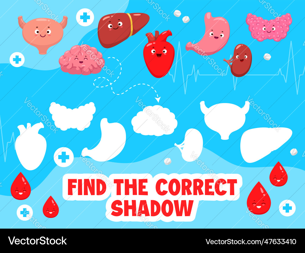Find the correct shadow of body organ characters Vector Image
