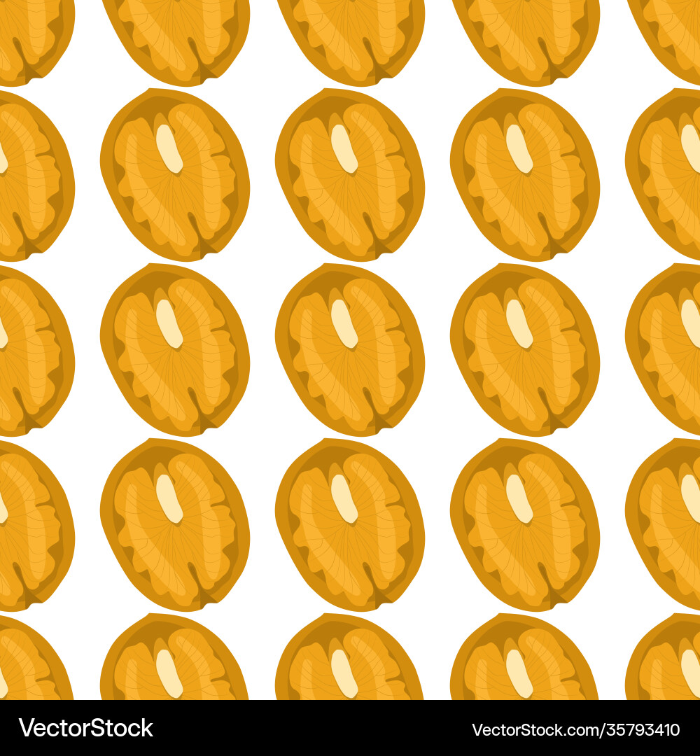 On theme big pattern identical types walnut On theme big pattern identical types walnut Vector Image