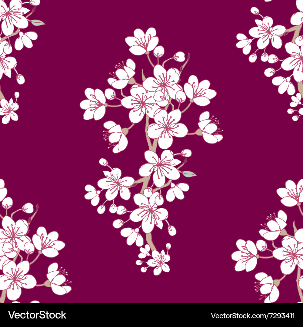 Seamless pattern sakura vector image