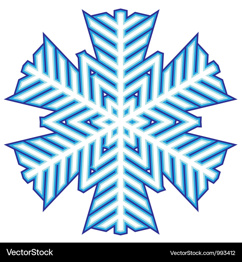 Decorative abstract snowflake vector image