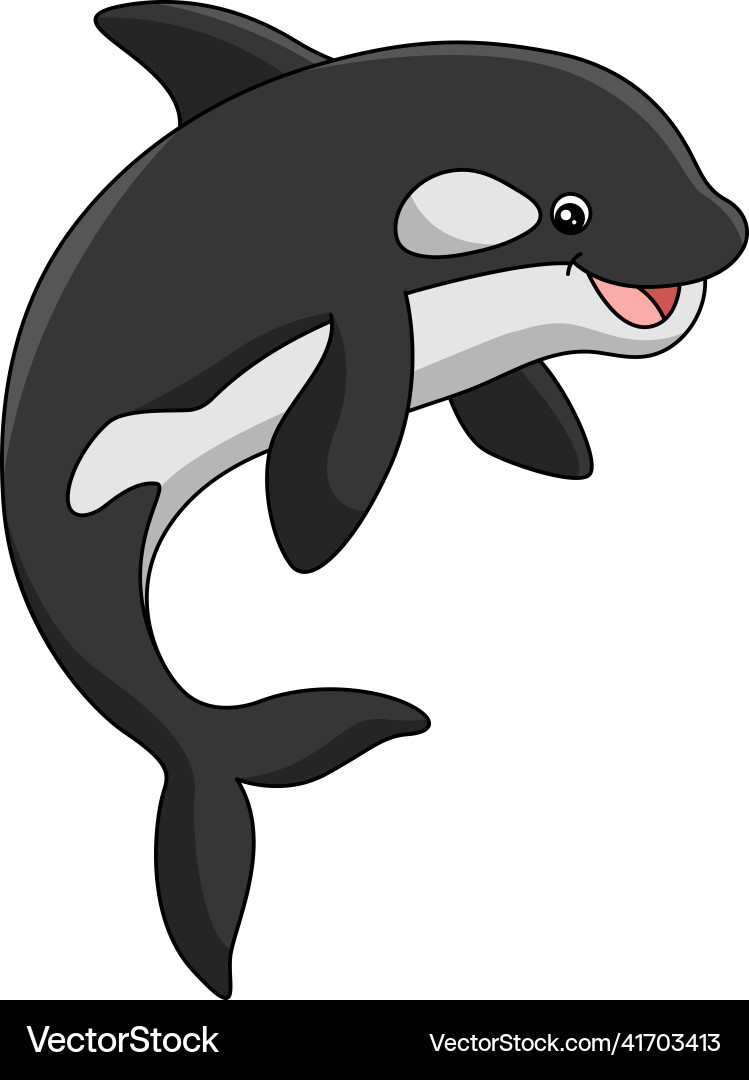 Killer whale cartoon colored clipart Killer whale cartoon colored clipart vector image