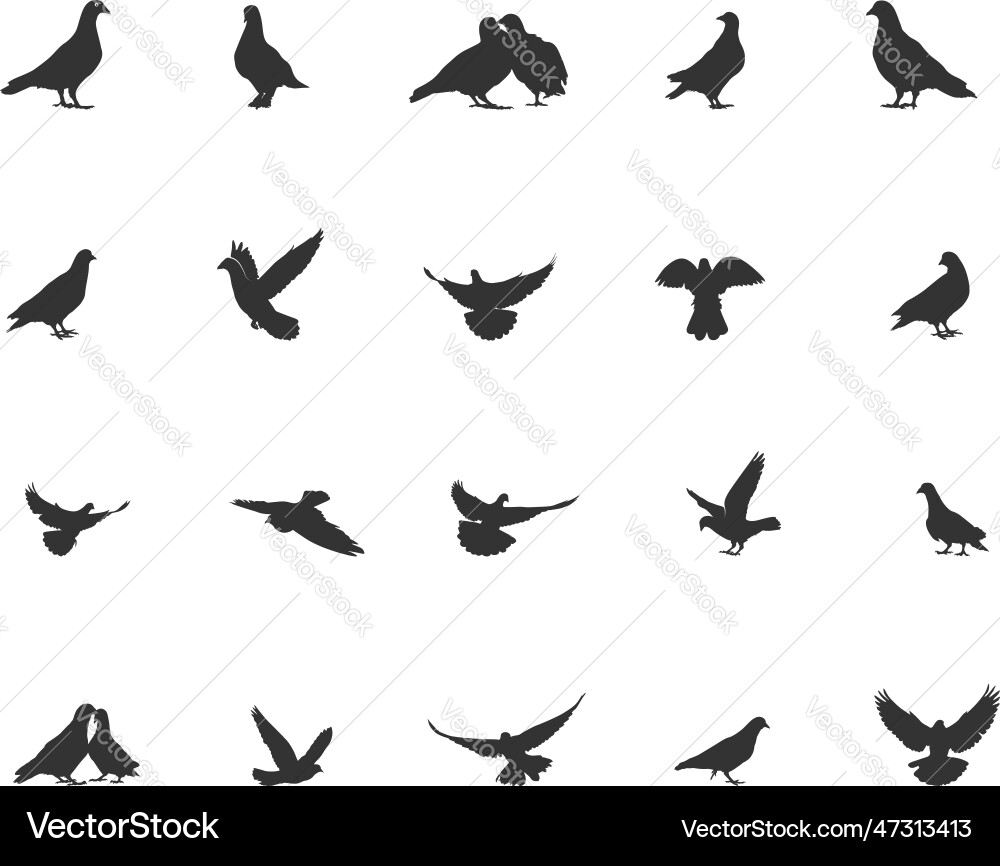 Pigeon Silhouettes Vector Image