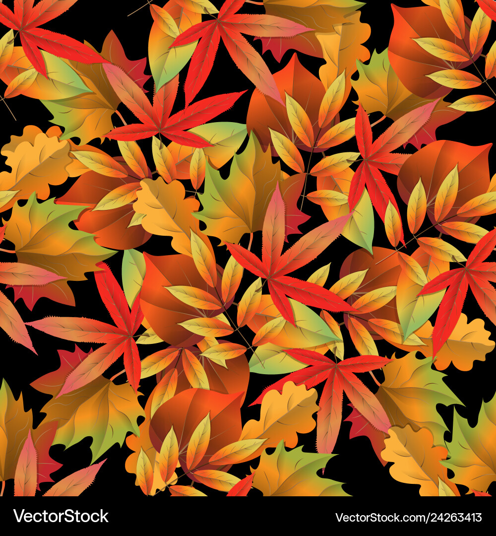 Seamless pattern on dark background with red Vector Image