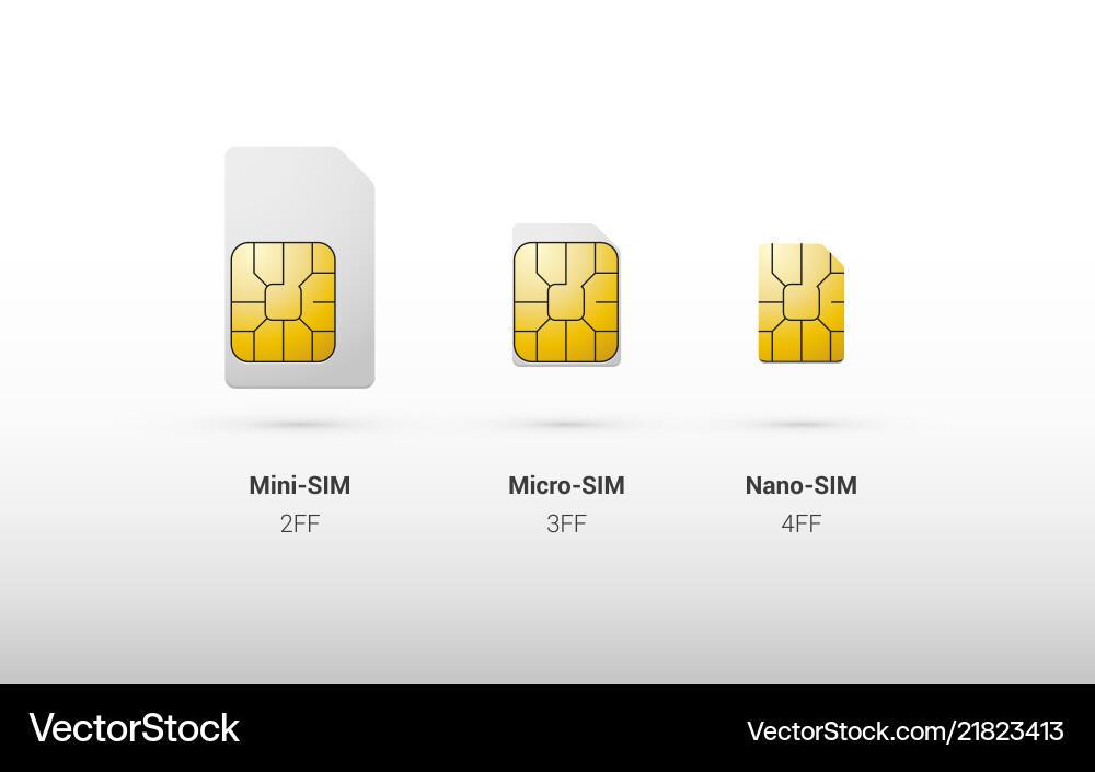 Sim card overview comparison of types and sizes Sim card overview comparison of types and sizes vector image