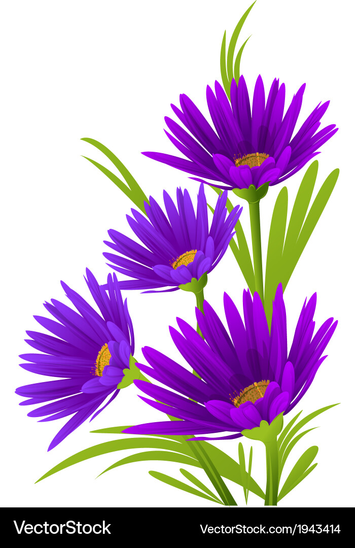 Floral Spring Background vector image