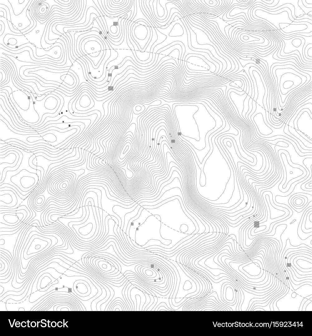 Seamless pattern topographic map background vector image