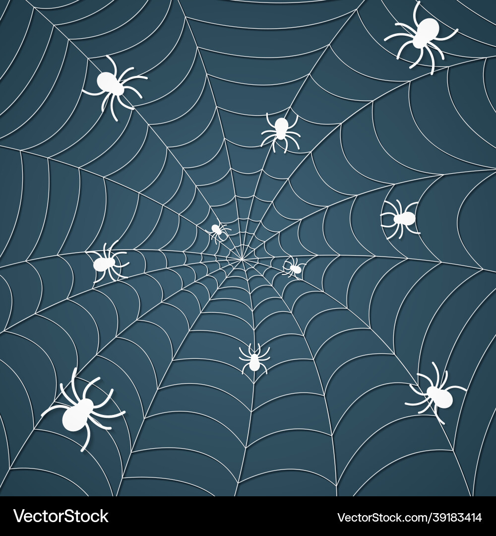 Spinnennetz mit Spinnen Spinnenweben Muster Hintergrund Spinnennetz mit Spinnen Spinnenweben Muster Hintergrund vektorbild