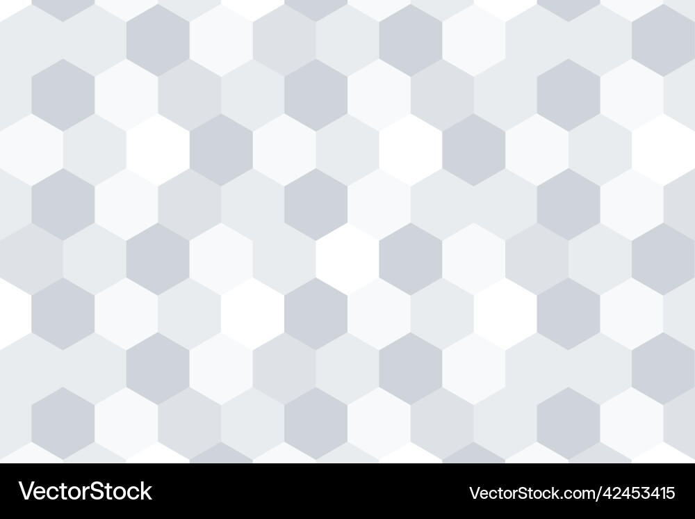 Abstract gray hexagonal background vector image