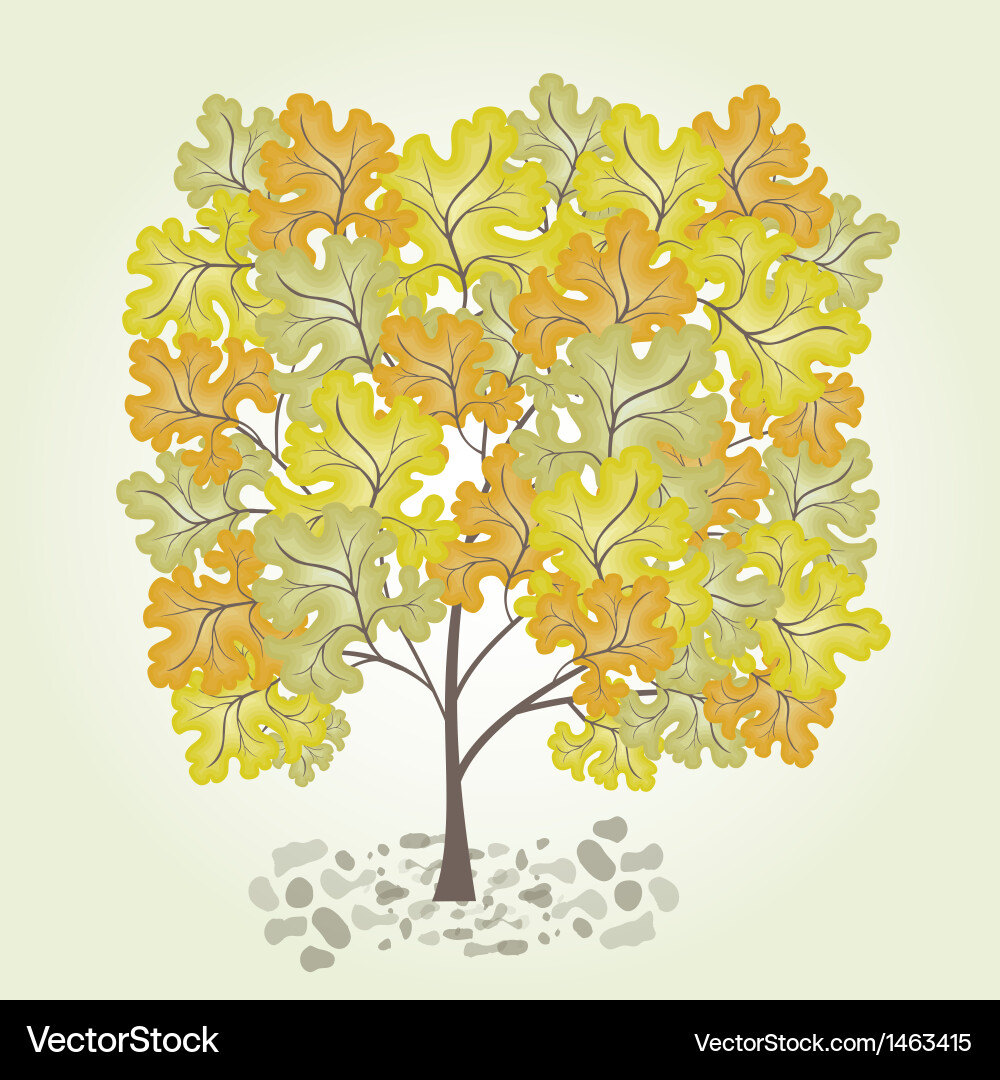 Tree with yellow leafage Vector Image
