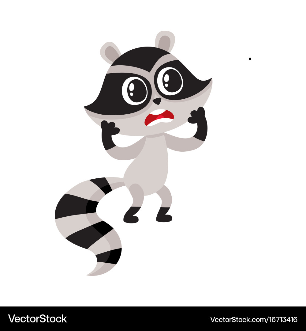 Cute little raccoon character unpleasantly Vector Image