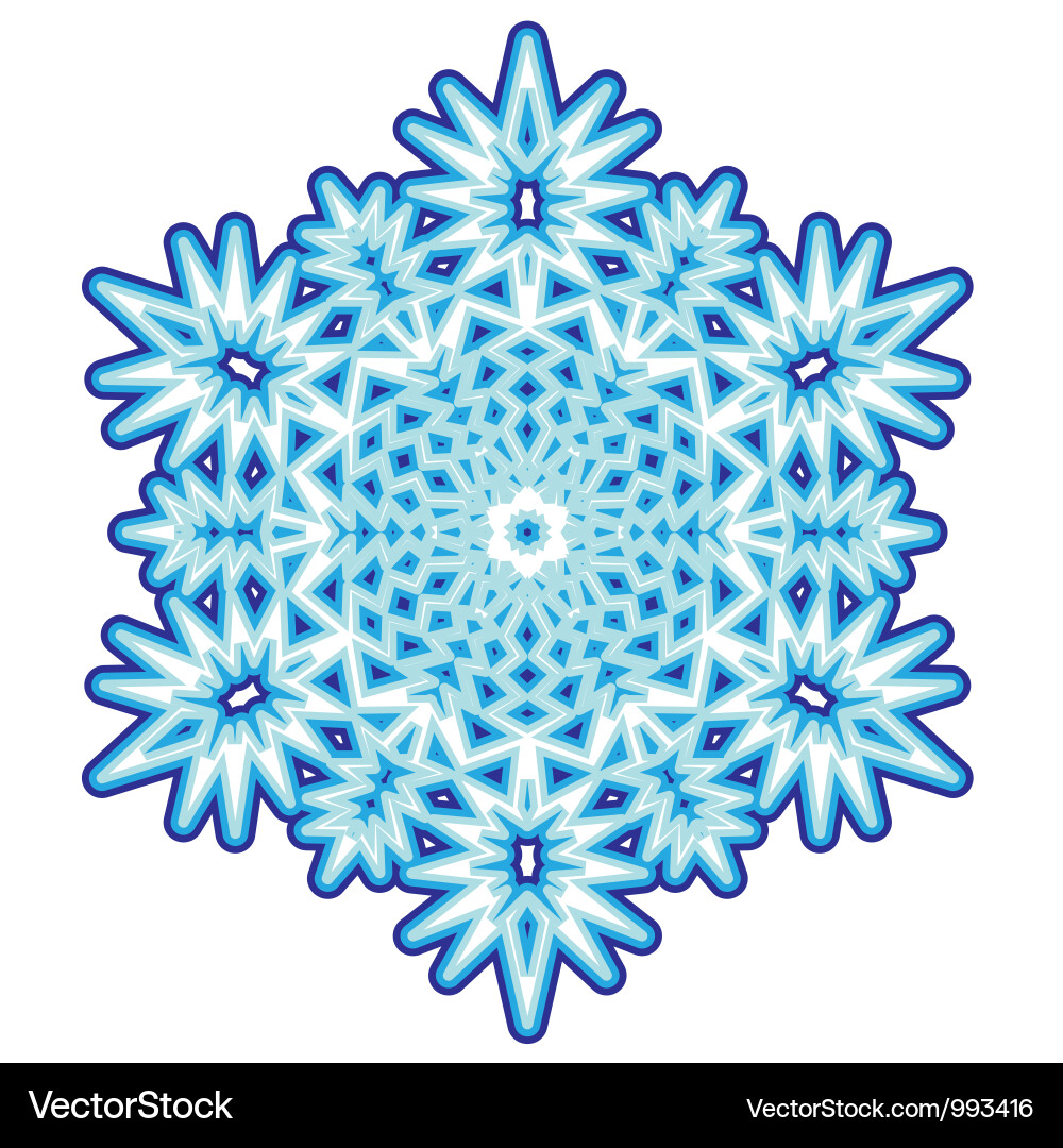 Decorative abstract snowflake vector image