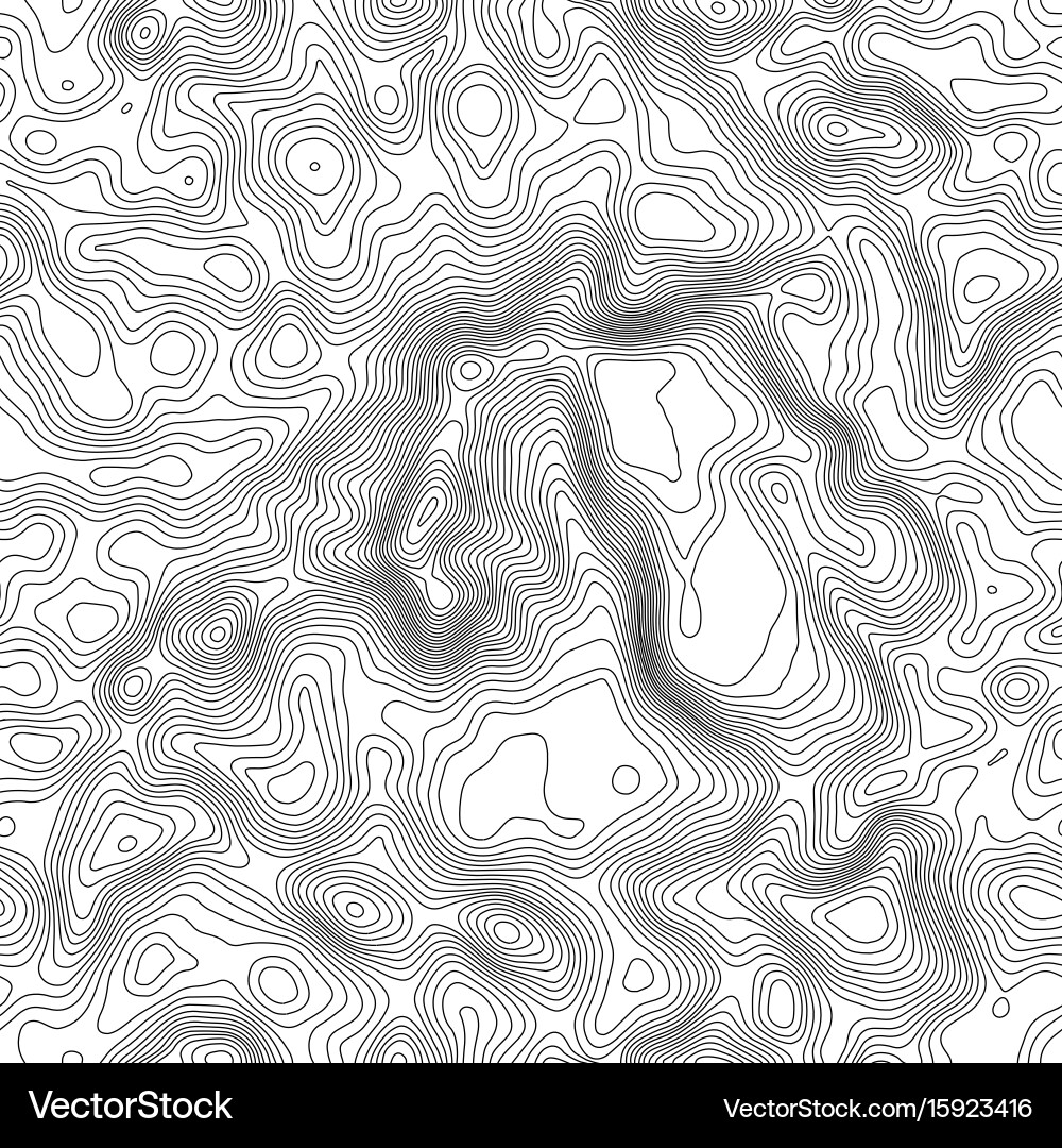Seamless pattern topographic map background vector image