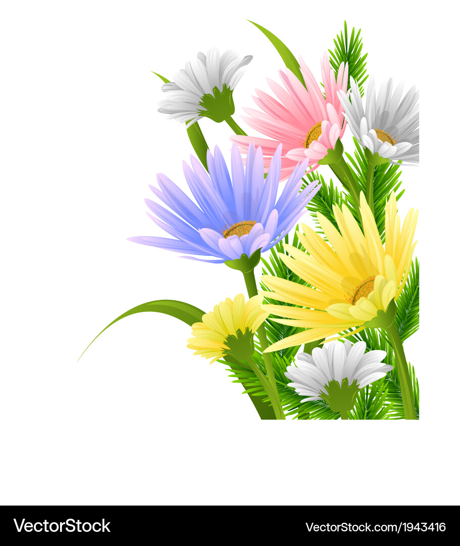 Spring background vector image
