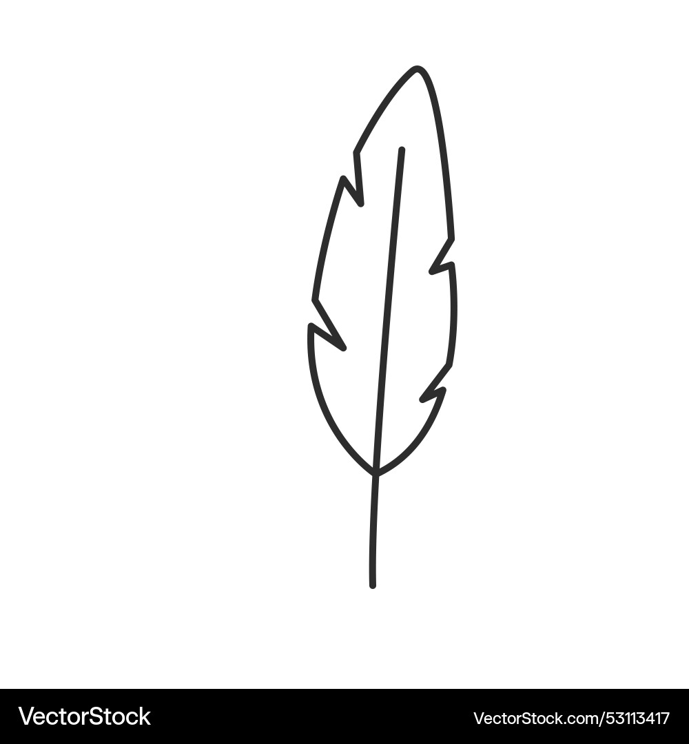 Feather line icon design element Feather line icon design element vector image