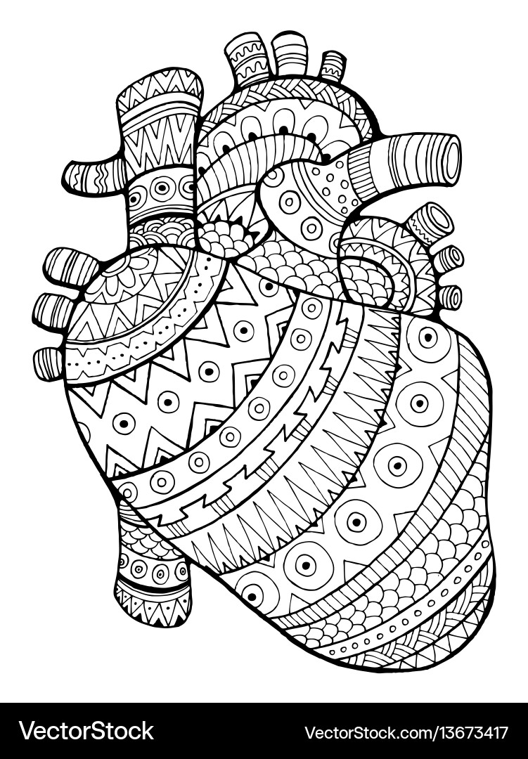 Human heart coloring book Royalty Free Vector Image human-heart-coloring-book-royalty-free-vector-image