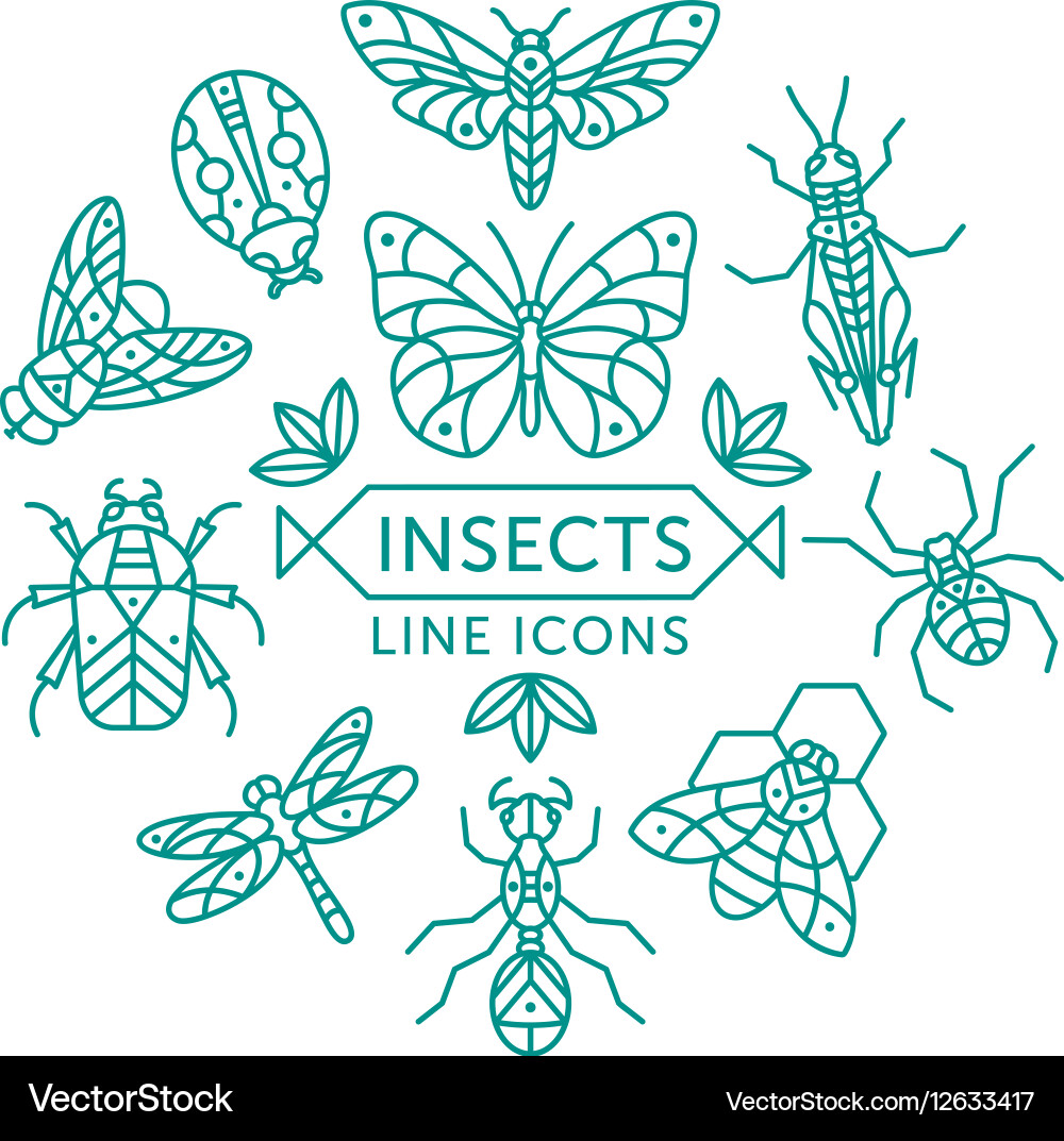 Insect Line Icons - Circle Group Royalty Free Vector Image