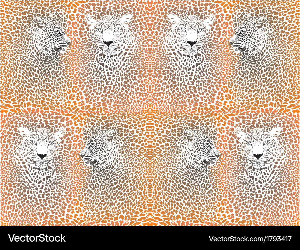 Leopard texture pattern with head vector image