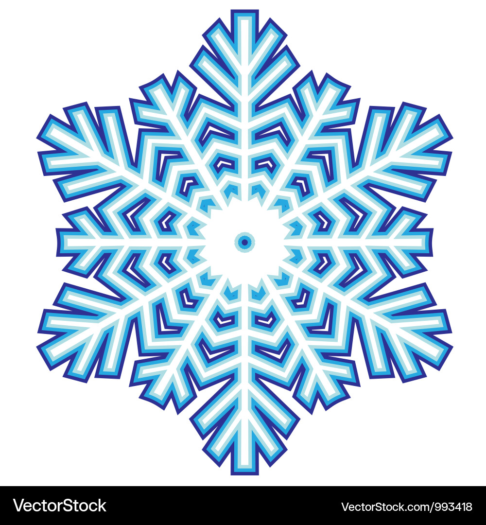 Decorative abstract snowflake Vector Image