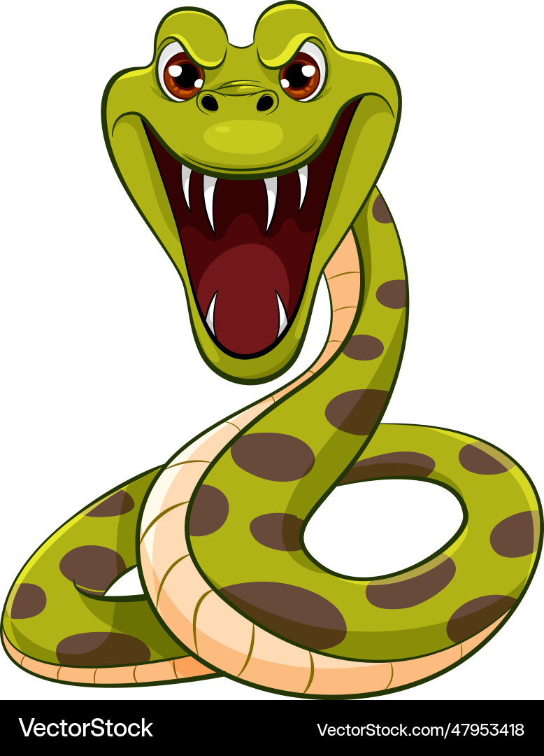 Python snake bites vector image