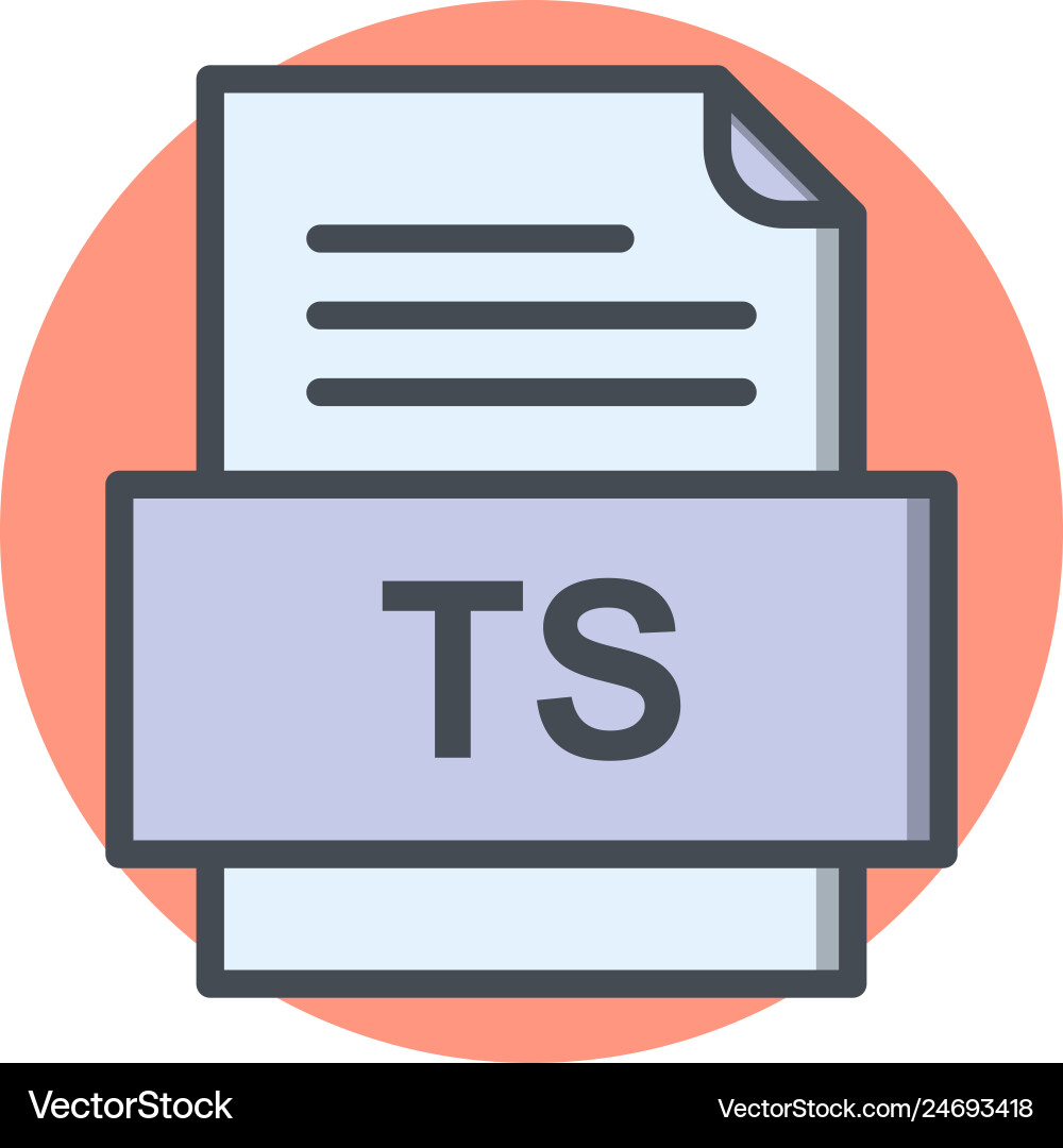 Ts file document icon Vector Image
