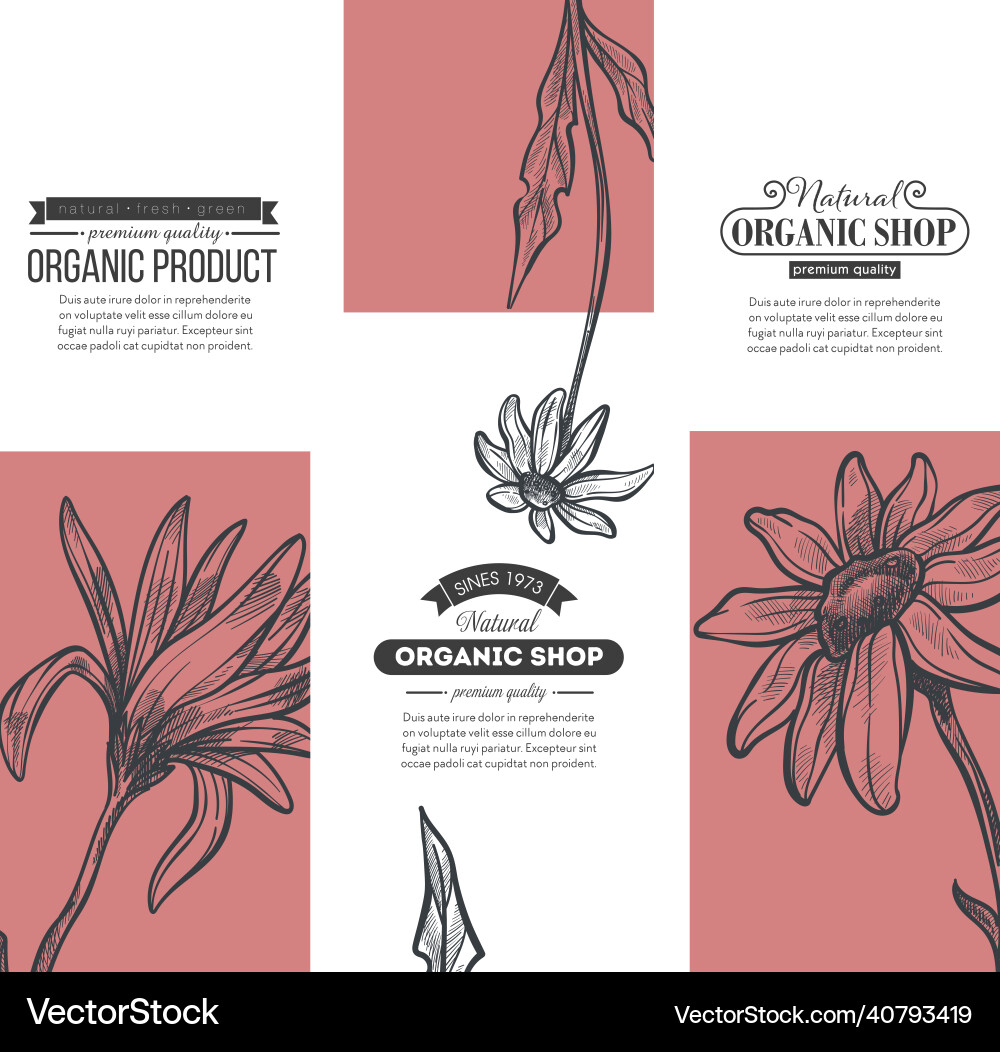 Bio- und Naturgeschäft Premium-Produkte Bio- und Naturgeschäft Premium-Produkte vektorbild