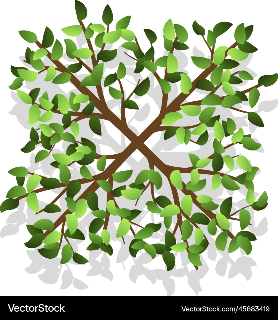 Landscape green plant element plan top view Landscape green plant element plan top view Vector Image