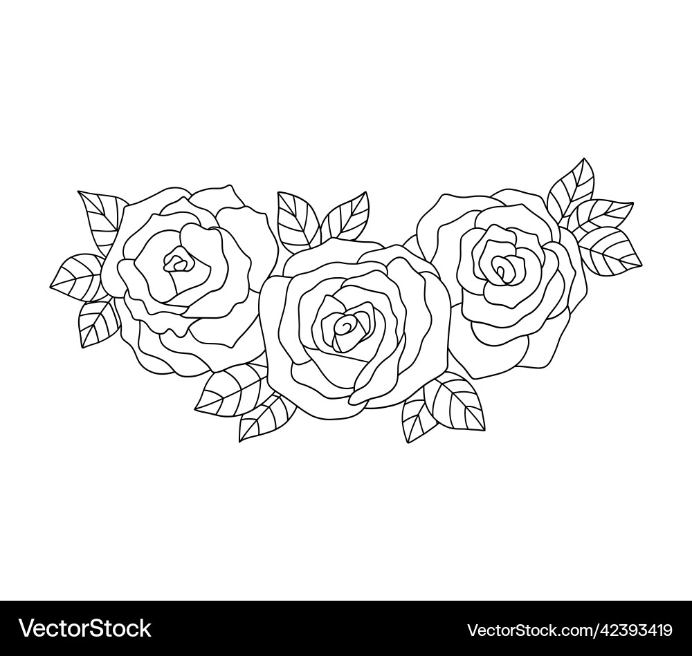 Line roses border outline flowers bouquet Line roses border outline flowers bouquet Vector Image