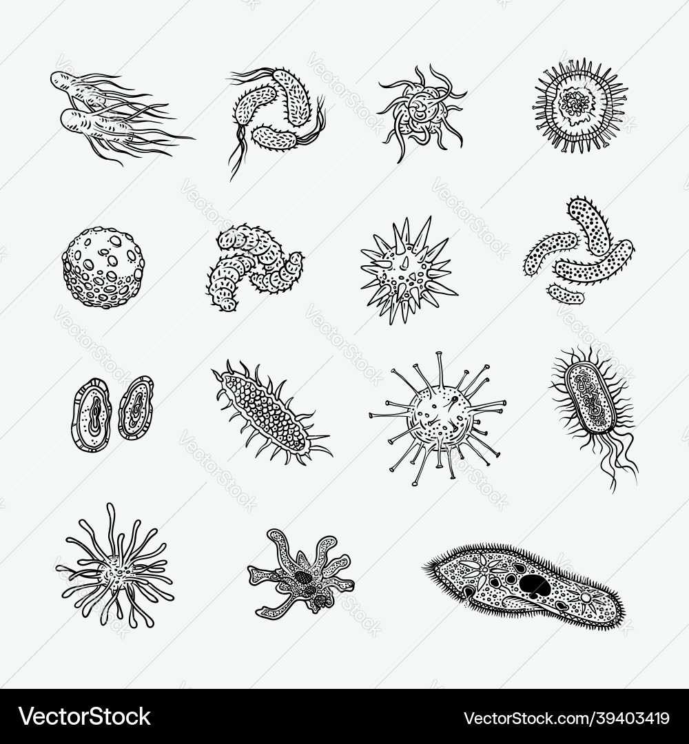 Simple set of bacteria virus icons for web design Simple set of bacteria virus icons for web design vector image