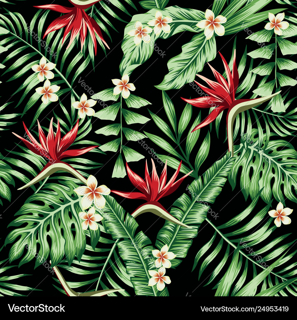 Tropical Black Seamless Floral Pattern vector image