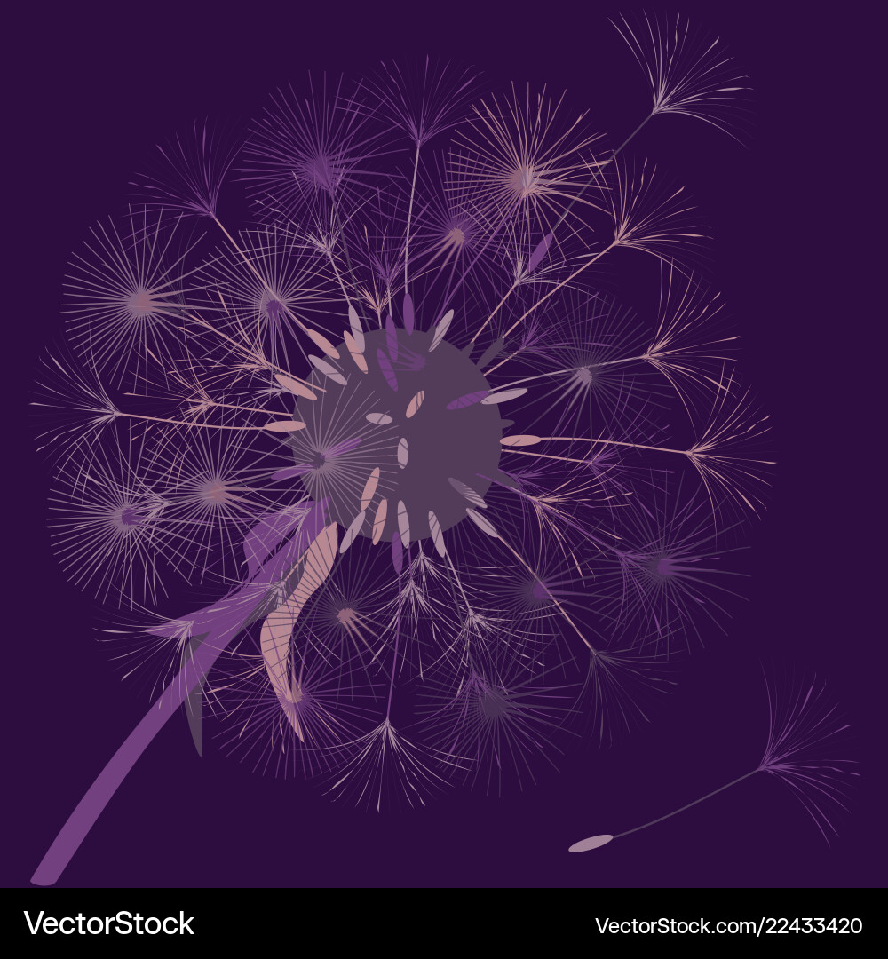 Abstract background of a dandelion for design Abstract background of a dandelion for design Vector Image