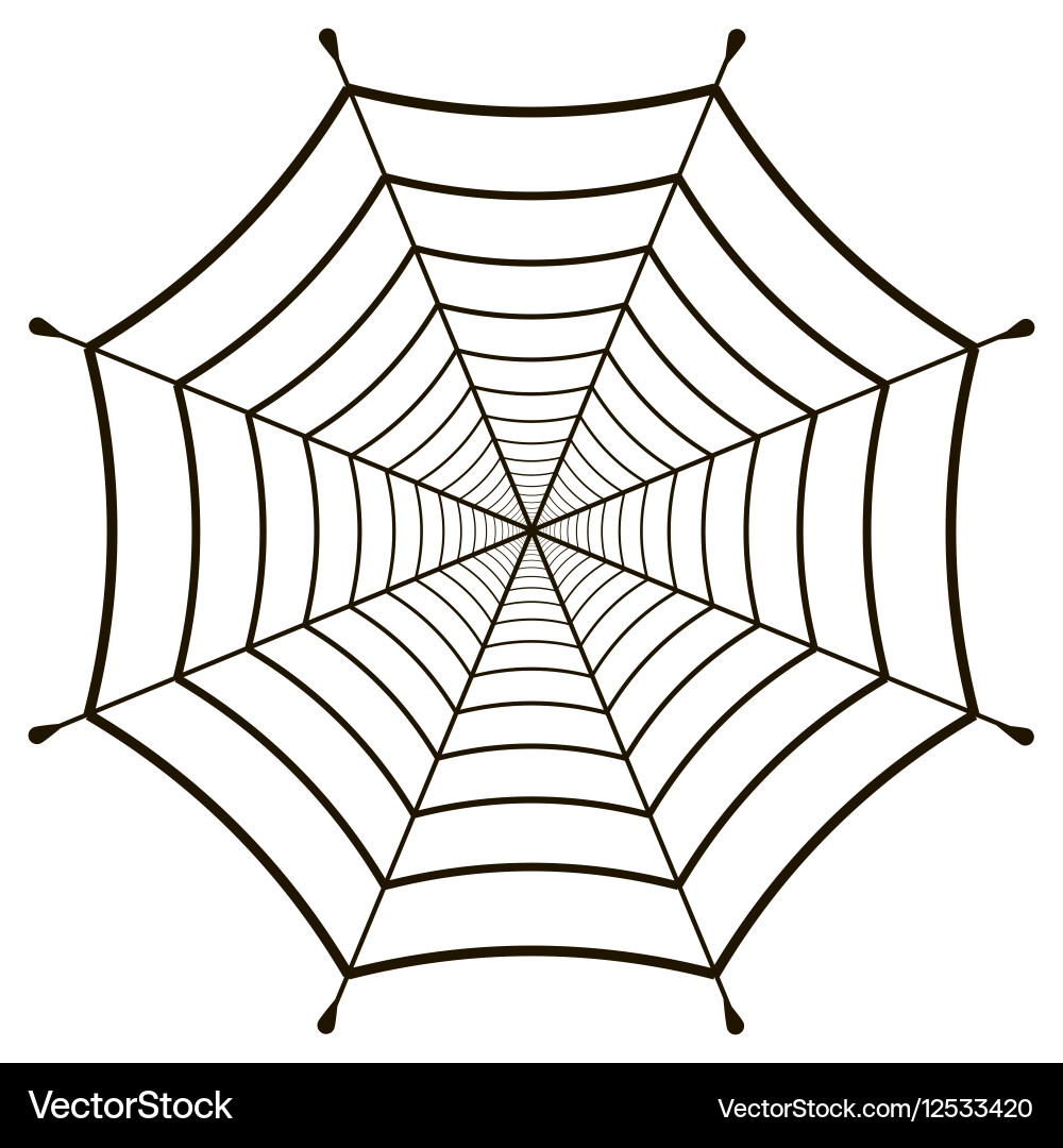 Cobweb spiderweb gossamer vector image