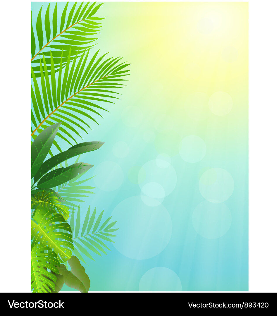 Tropical Palm Blatt Hintergrund Vektorbild