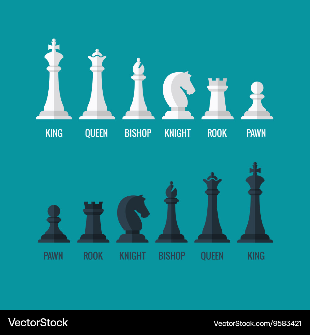 Chess pieces king queen bishop knight rook pawn Vector Image